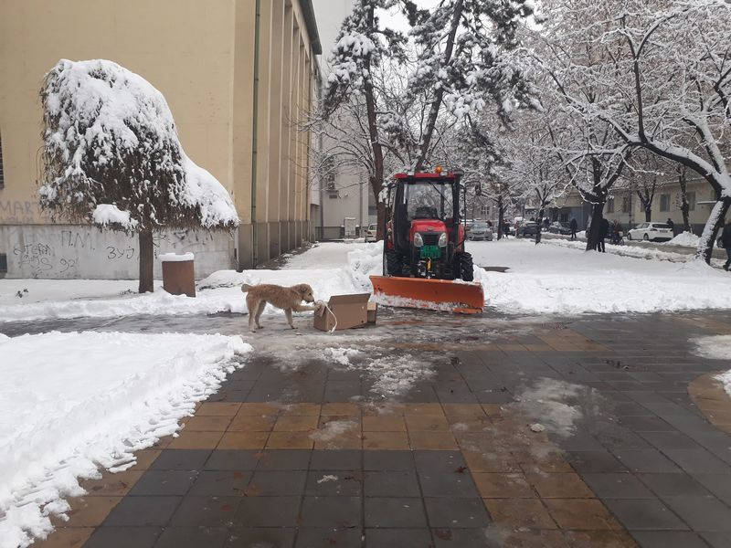 Komunalac u stanju pripravnosti, u čišćenju im pomaže i ovaj mališa