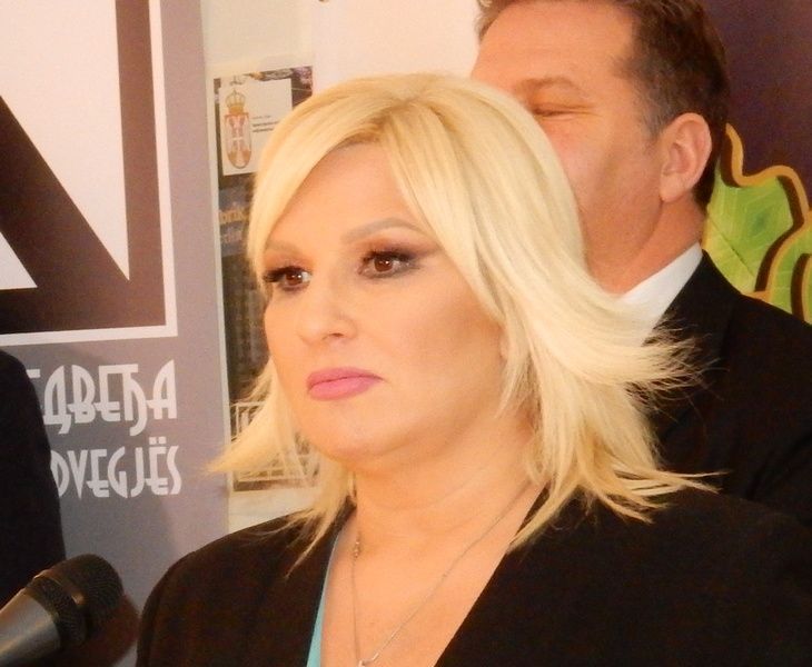 Mihajlovićeva: Izvršena kontrola prodavaca peleta i ogrevnog drveta i u Nišu i u Leskovcu, samo njih 13 imalo sve što je potrebno