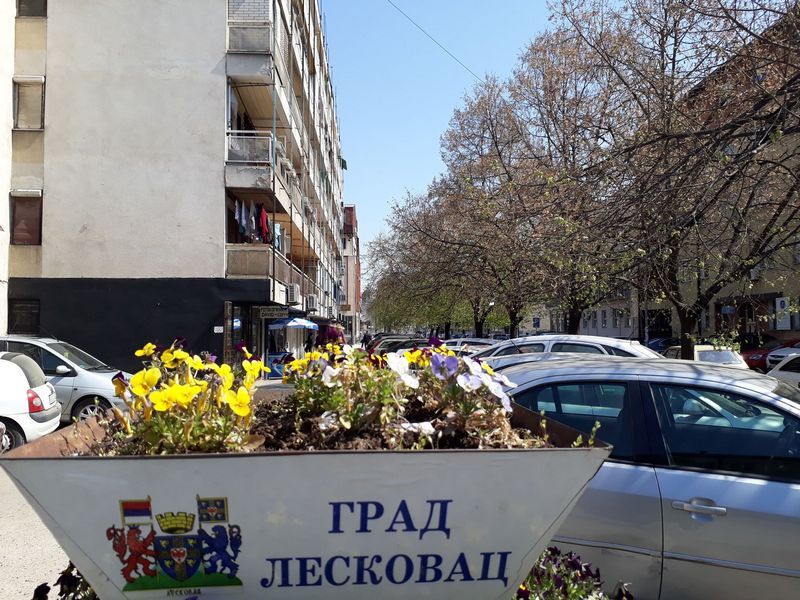 Završena prolećna sadnja u Leskovcu