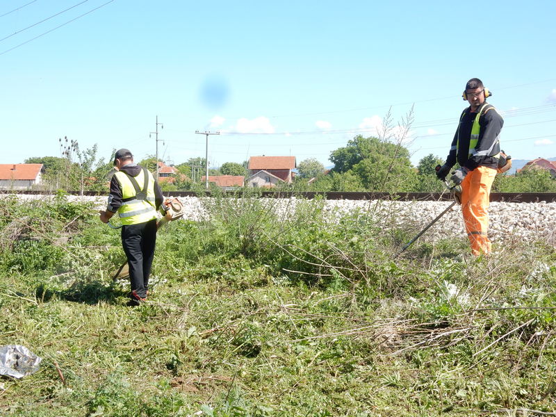 Očišćeno rastinje i šiblje pored pruge