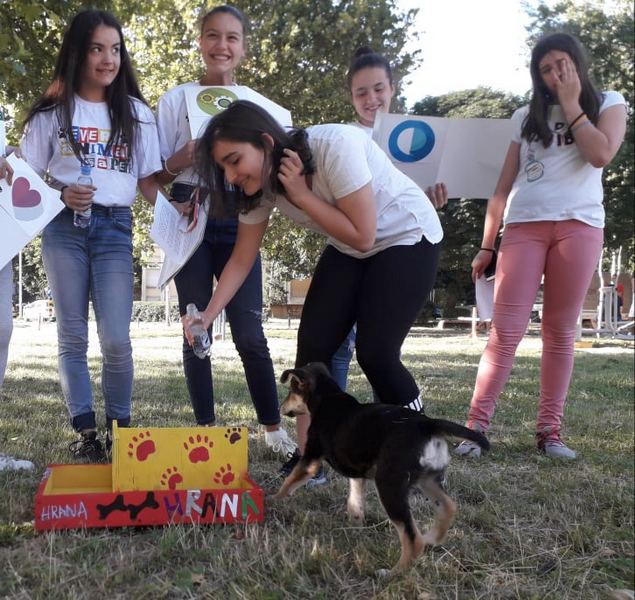 Deca napravila hranilicu za pse lutalice u naselju Dubočica