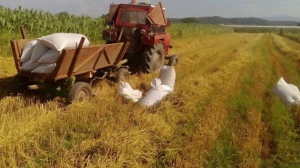 Poljoprivrednih penzionera manje za oko 7.000 godišnje