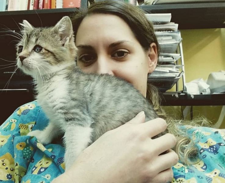 Doktorka Katarina Gojković: Čuvanje mačaka smanjuje stres, krvni pritisak, rizik od srčanog udara…