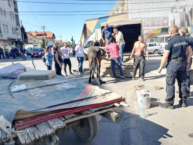 Mučenje iznemoglog konja podiglo i policiju i Leskovčane na noge