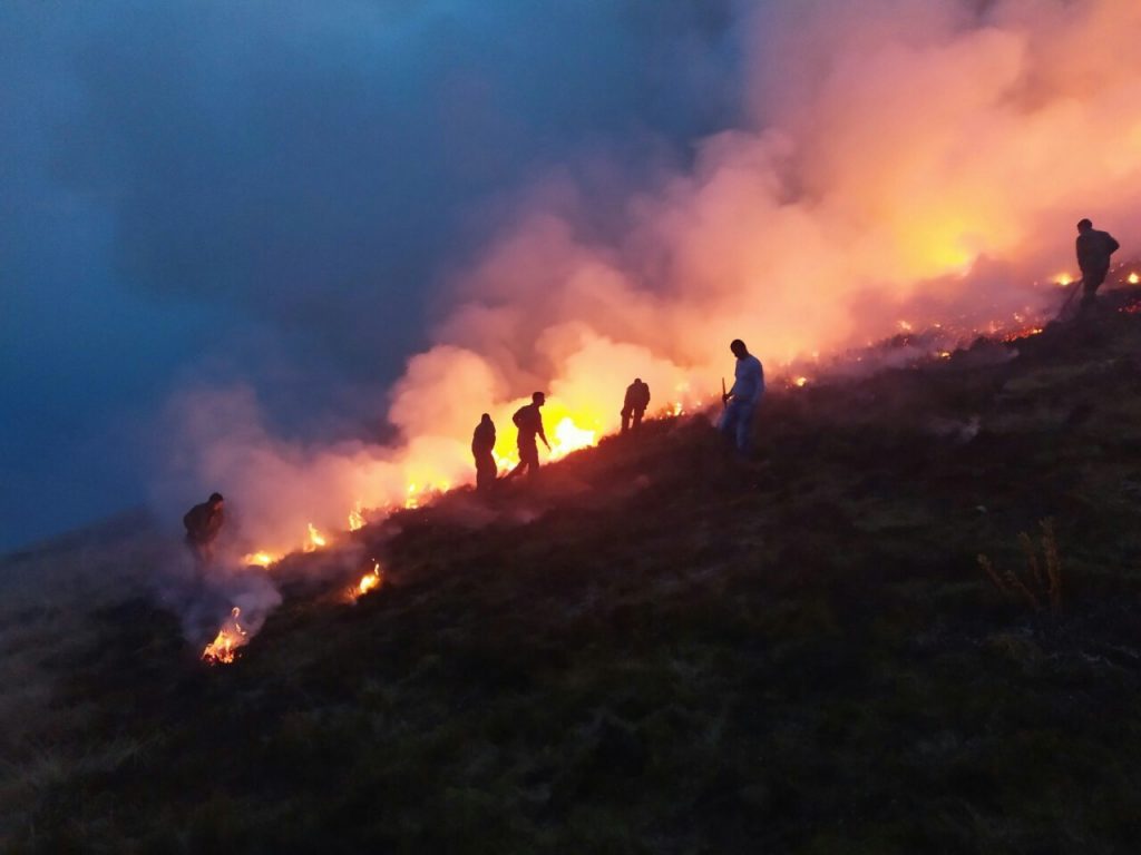 Gori i Suva planina, zbog jakog vetra vatra se brzo širi