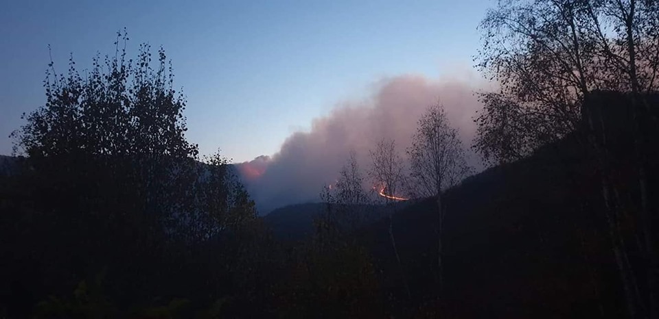 Veliki požar na Staroj planini gasi 55 vatrogasaca iz Leskovca, Niša, Pirota… Treba im helikopter – (VIDEO)