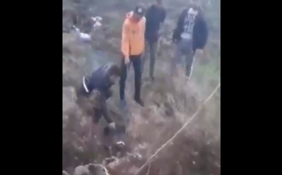 Iživljavanje nad životinjama i navijanje u divljoj borbi pasa u Bujanovcu – (VIDEO)