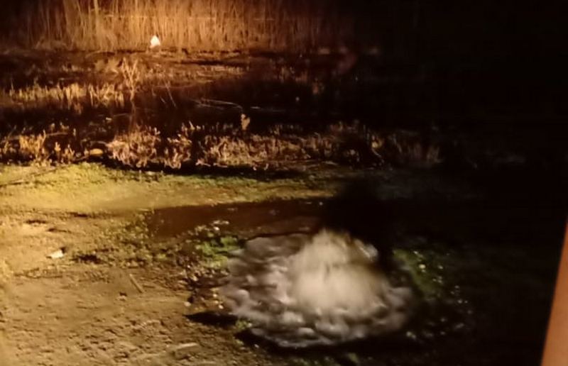 U naselju Čifluk Mira voda huklja od sinoć, u Vodovodu kažu: Pola grada je bez vode, stpite se