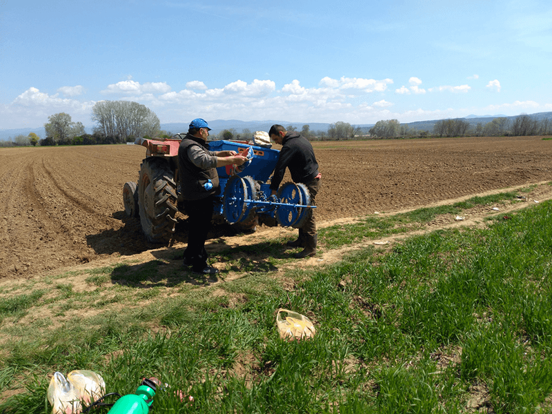 U Pčinjskom okrugu setva kukuruza biće obavljena na 10.000 hektara