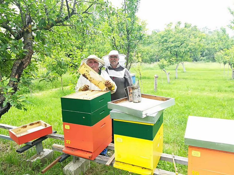 Podsticaji za pčelare po košnici pčela počeli od juče