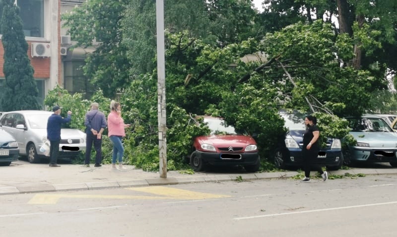 Pod naletom vetra srušilo se drvo na sedam automobila
