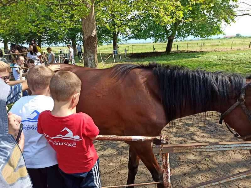 Korona hara među decom, otvara se dečja kovid ambulnta