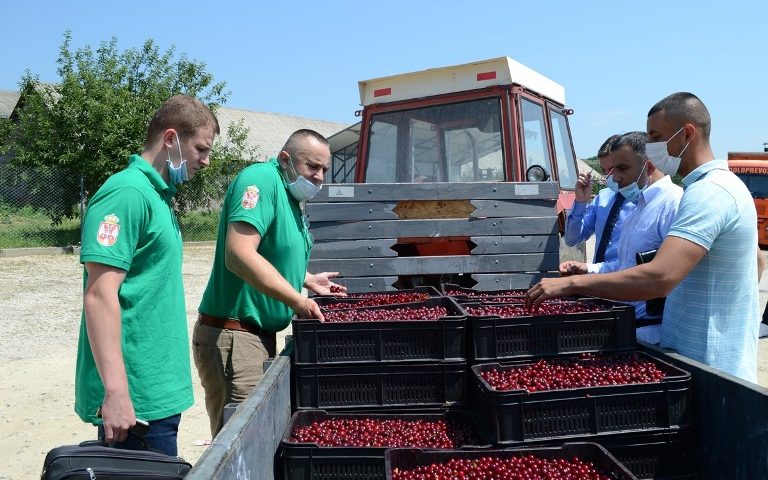 Predstavnici Ministarstva poljoprivrede i nadležne inspekcije kontrolišu otkup višnje u Prokuplju