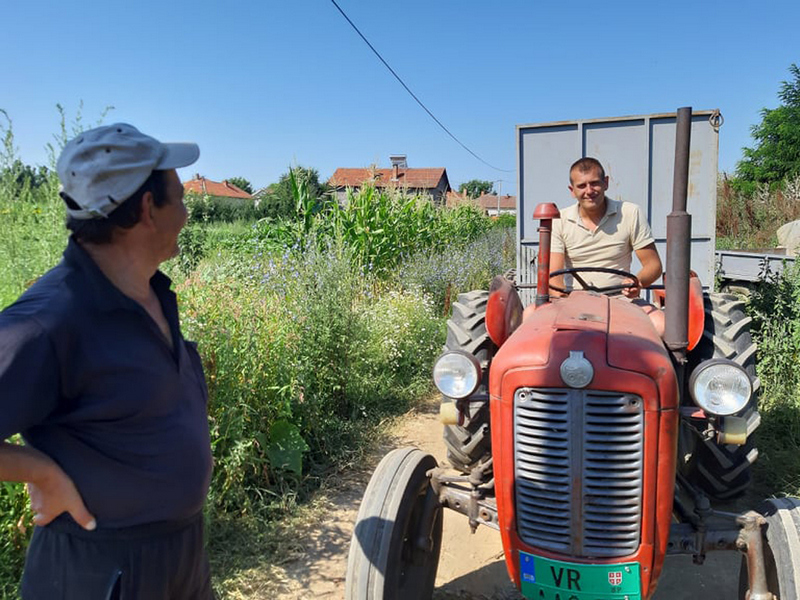 Uprkos koroni žetva pšenice se odvija predviđenom dinamikom