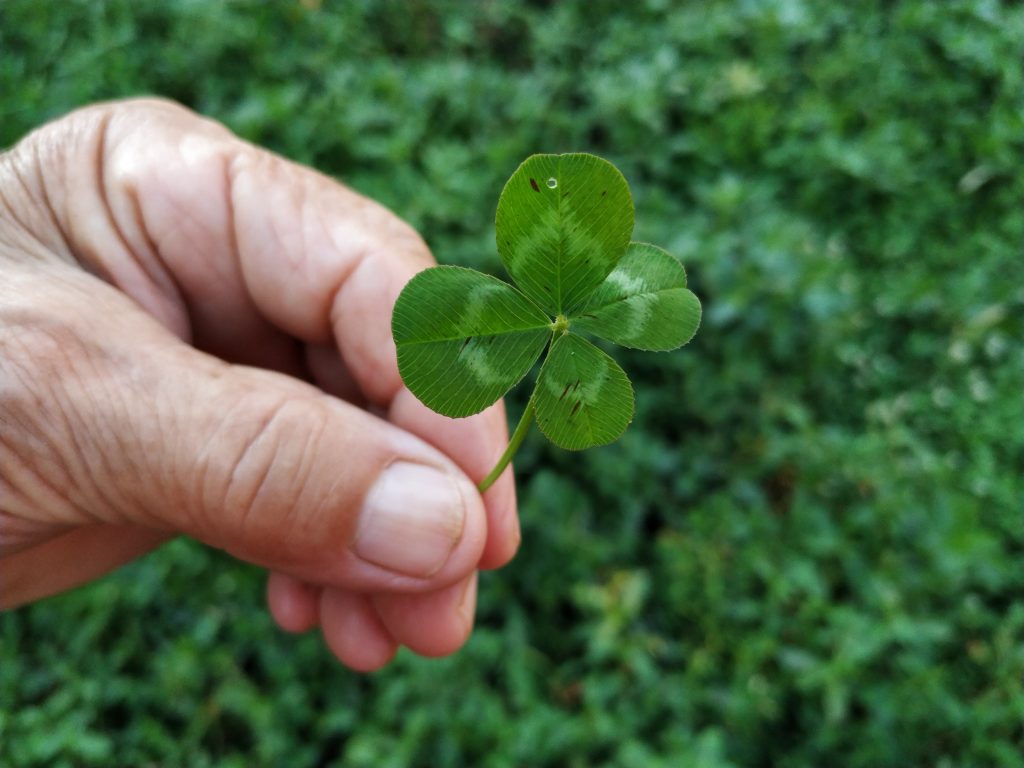 Nove olakšice za poljoprivrednike: Za deo podsticaja više nisu potrebni računi