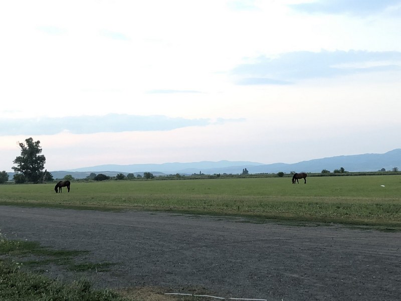 Za vikend uređenje Hipodroma u Leskovcu
