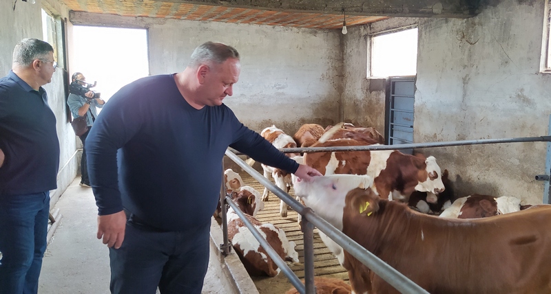 Gradonačelnik Cvetanović obišao dve farme tovljenika u Mrštanu