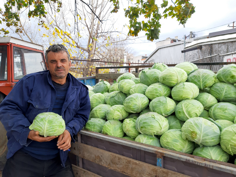 Na pijacama Tekija i Ogledna stanica dozvoljena prodaja i iz kamiona