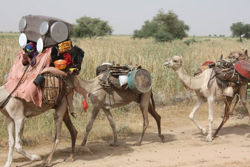 AFRIKA ima dijamanata ali nema vode, ili: GOSPODO, PRAVITE AFRIKU U SRCE EVROPE