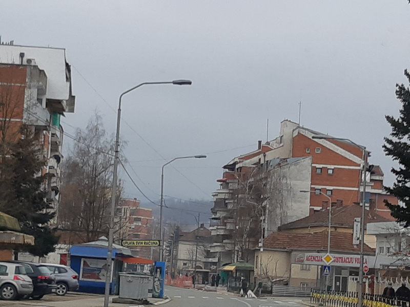 U Lebanu pritvorili pse lutalice zbog Ane Brnabić i ministre