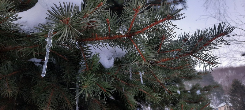 Stiže nam prava zima: RHMZ najavio promenu vremena, sneg i mrazevi