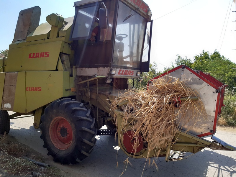 U Jablaničkom okrugu žetva pšenice u punom jeku, prinosi po hektaru veći od 5 tona