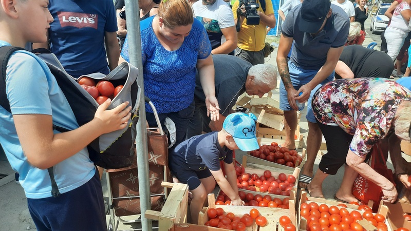 Tužna slika u Leskovcu, ponovo grabež za besplatan paradajz