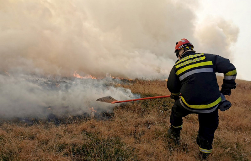 Šest vatrogasnih ekipa gasi požar između Dobrotina i Ladovice