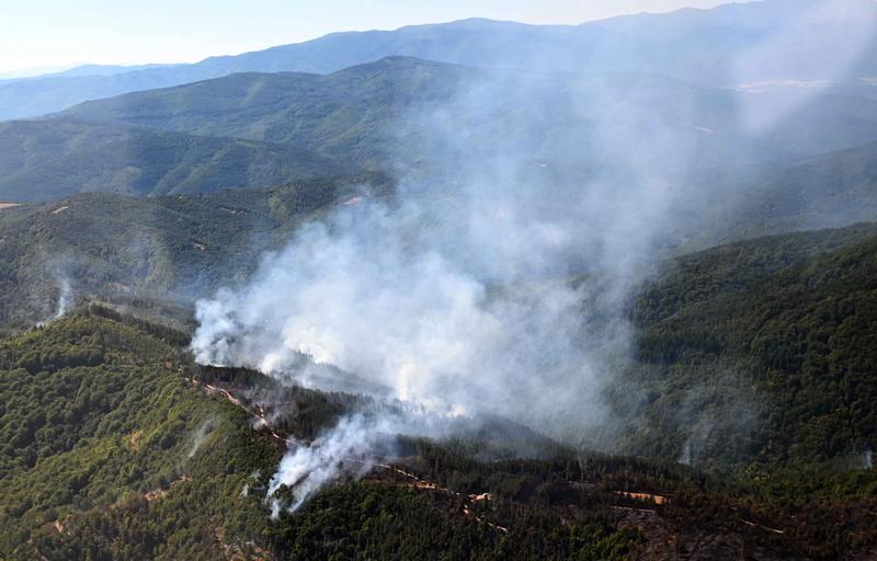 Požari na području Vranja stabilizovani, u toku gašenje aktivnih požara