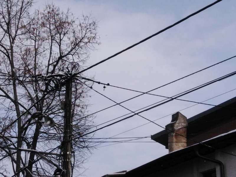 Sutra bez struje 21 selo i jedna ulica u Leskovcu