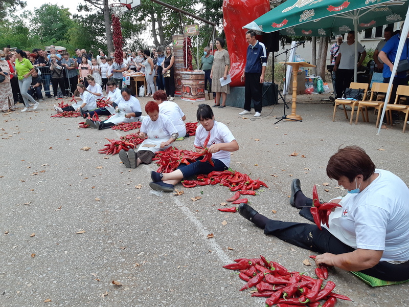 Radost i suze na takmičenju u brzom nizanju paprika u Donjoj Lakošnici (video)