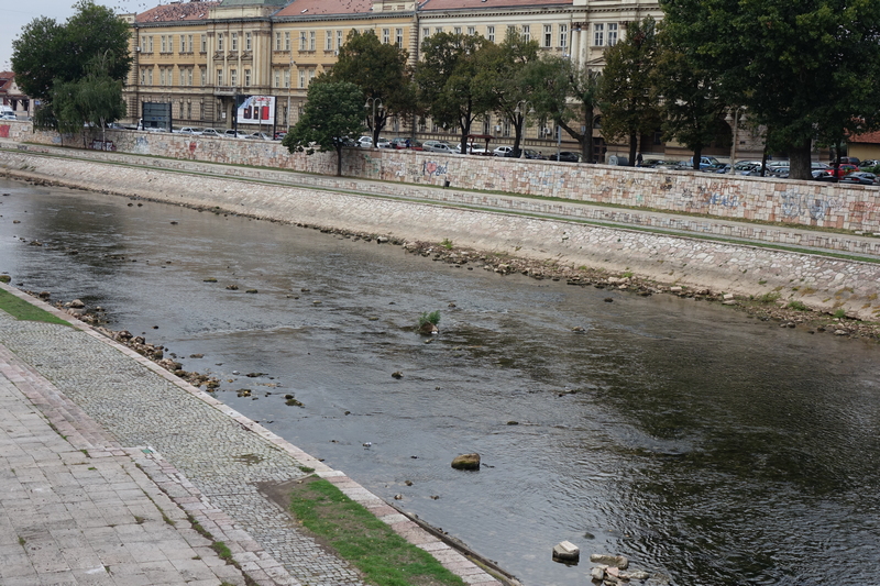 U Nišavi utvrđeno prisustvo amonijaka nakon akcidenta kod Pirota: Niški Štab za vanredne situacije zabranio upotrebu vode iz reke za rekreaciju i vode za piće iz bunara