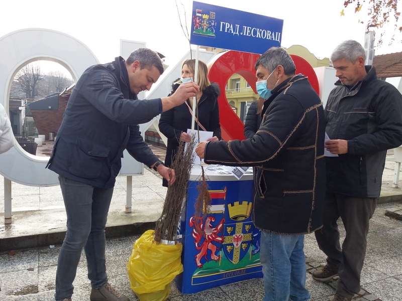 Leskovčanima besplatno podeljeno 100 sadnica belog jasena