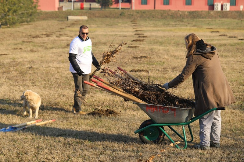 SBB fondacija sutra sadi 1.600 sadnica u Bubanj parku