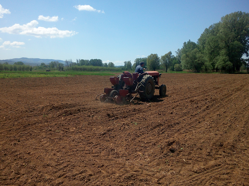 PU Pirot: Zbog poljoprivrednih radova veći broj traktora na putevima, posebna opreznost  u vožnji