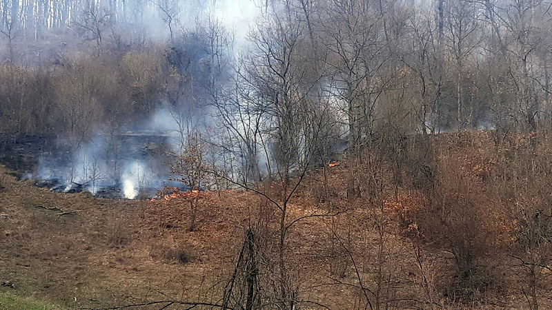 Bukte požari u Poljanici