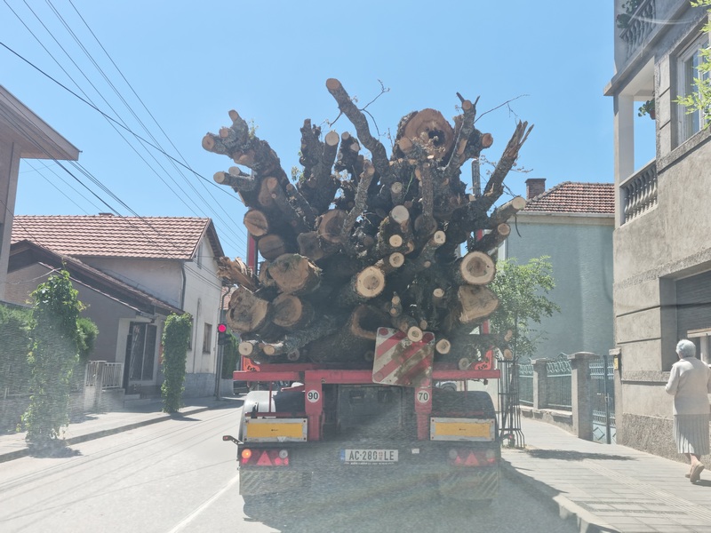 Kubik drva u Leskovcu već 60 evra