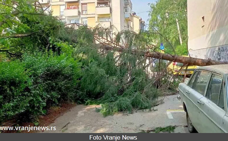 Nevreme u Vranju čupalo drveće iz korena, oštetilo fasade i oborilo jarbol