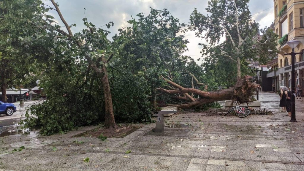 HAOS NA ULICAMA LESKOVCA: Vetar poobarao drveće koje je zakrčilo kolovoze, a kiša ih poplavila