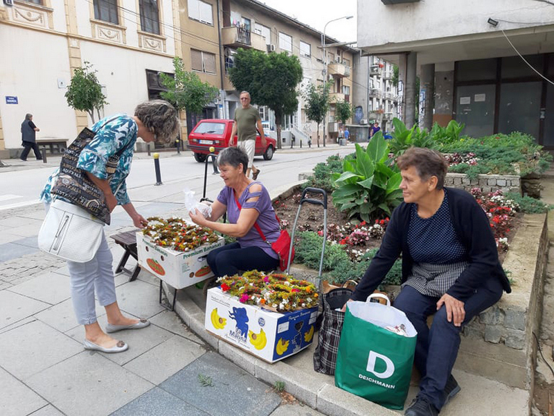 Venčić od ivanjskog cveća simbol zdravlja i sreće jedne porodice