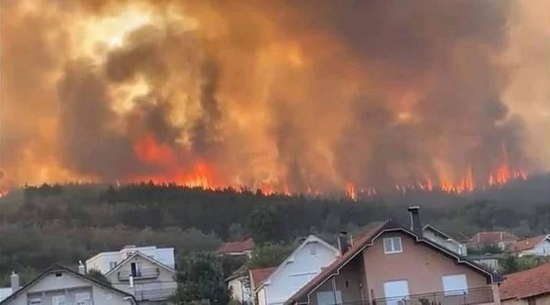 Vanredna situcaija na delu teritorije Preševa zbog velikog požara, ugrožene i životinje