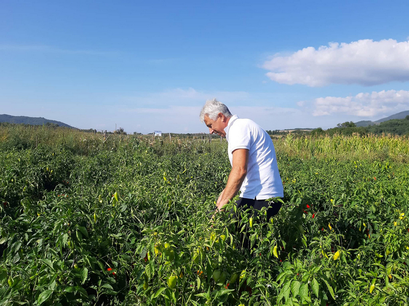 Dejan Ivanović: Zdravstveno stanje me omelo da oborim sopstveni rekord u prinosu kukuruza