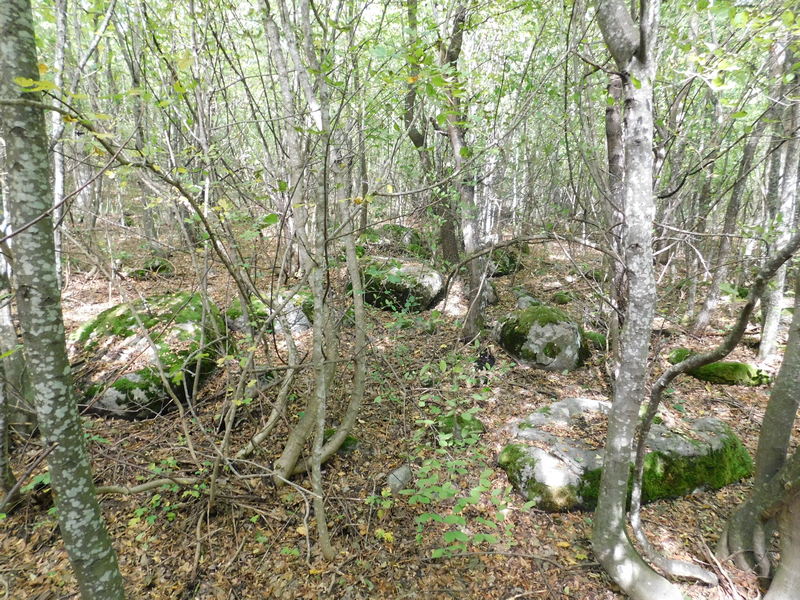 Pronađen značajan rudarski lokalitet u selu Ivanje ispod Radan planine