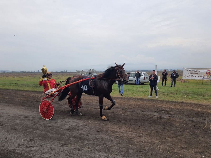 Ovogodišnja pobeda na konjičko-kasačkim trkama u Leskovcu ponovo pripala Nišu