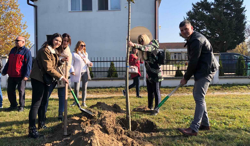 Park u Brestovcu oplemenjen novim drvećem