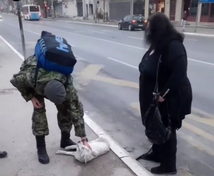 Vojnik spasavao povređenog psa na ulici