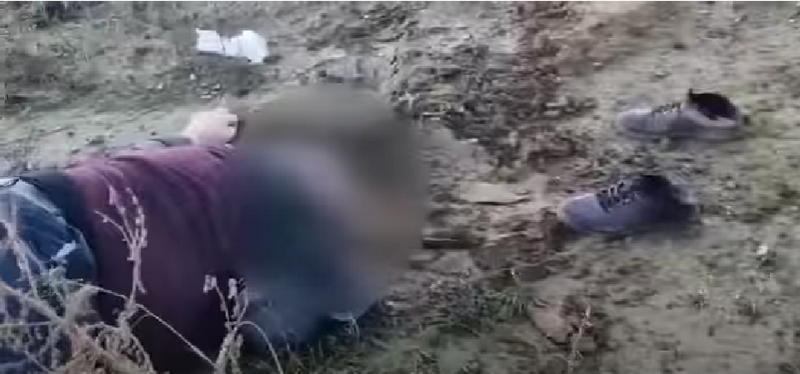 Novinar lokalnog portala slučajno pronašao telo muškarca u blizini prevrnutog vagona kod Pirota (UZNEMIRIJUĆI VIDEO)