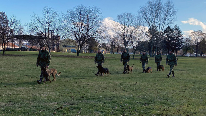 Ministarstvo odbrane: Završena obuka službenih pasa za čuvarsku službu