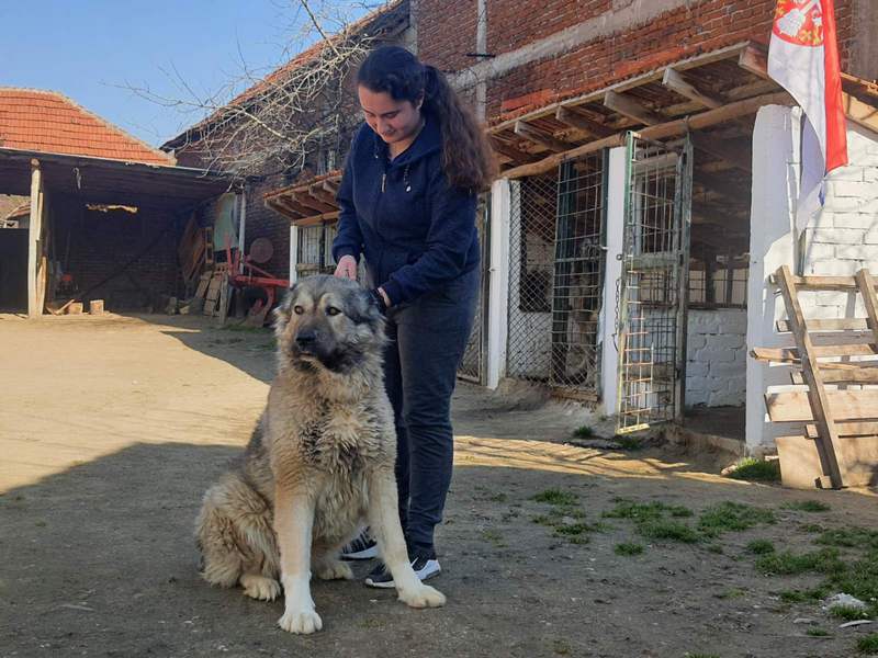 Andrijana, devojčica koja voli životinje, postala je devojka koja je sa 18 godina otvorila svoju firmu za dresuru pasa