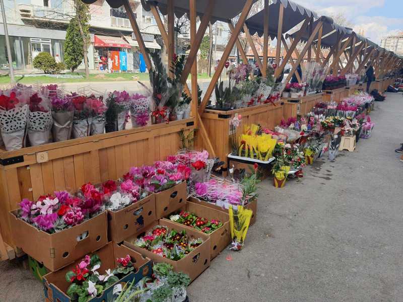 Osmomartvoski bazar obojio centar Leskovca, miris cveća širi se Bulevarom